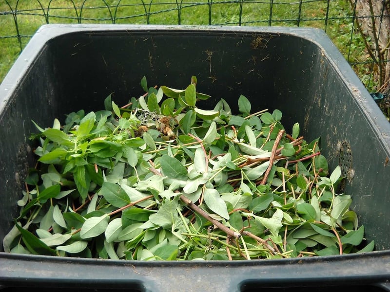 Benefits of Composting