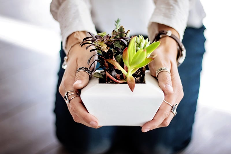 Choosing Pots